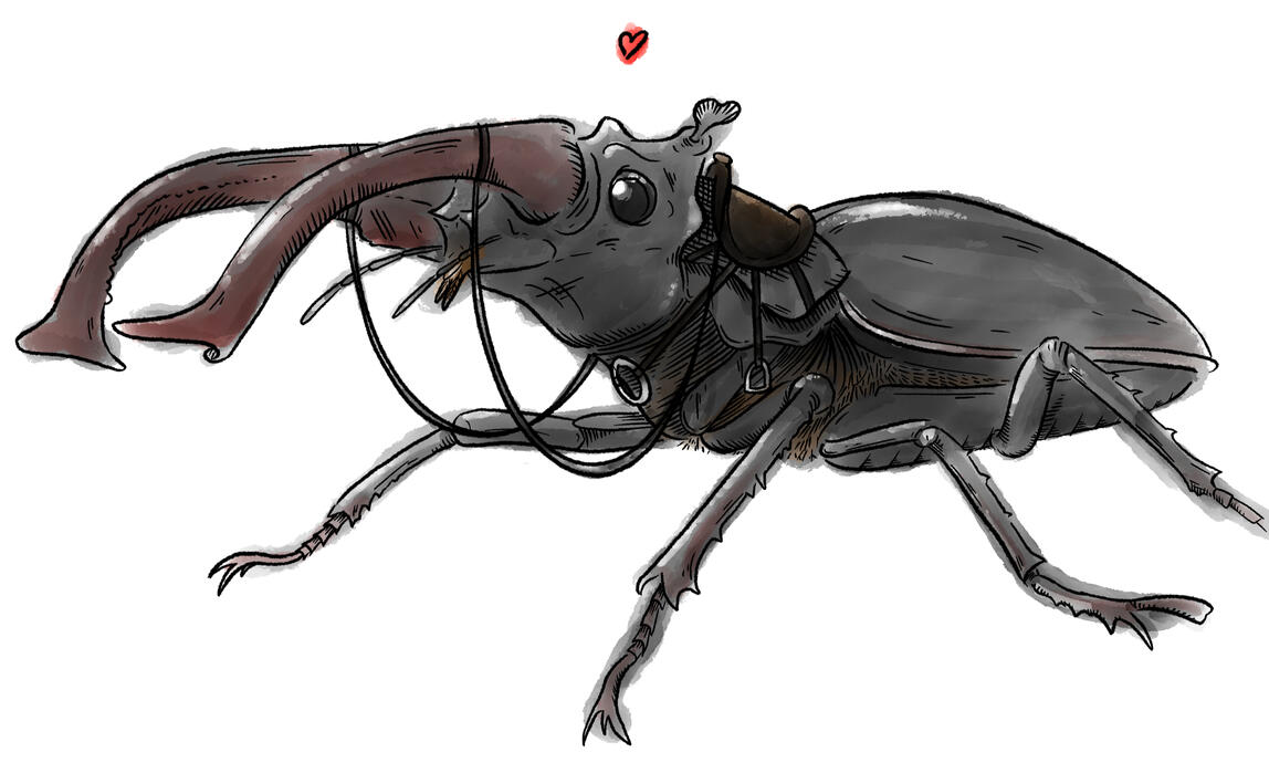 Ink and watercolour illustration of a stag beetle wearing a saddle and reins