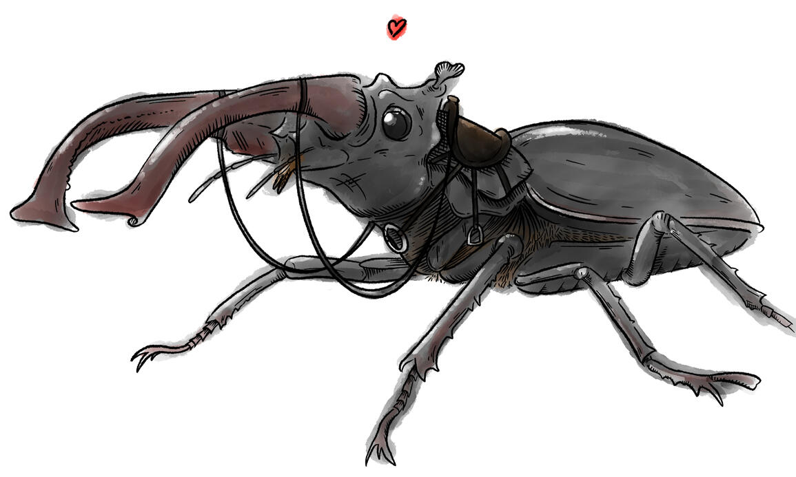 Creature Concept Ink and watercolour illustration of a stag beetle wearing a saddle and reins