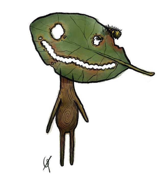 Watercolour and ink illustration of a woodland sprite with a leaf for a face. Features created with holes from insects.