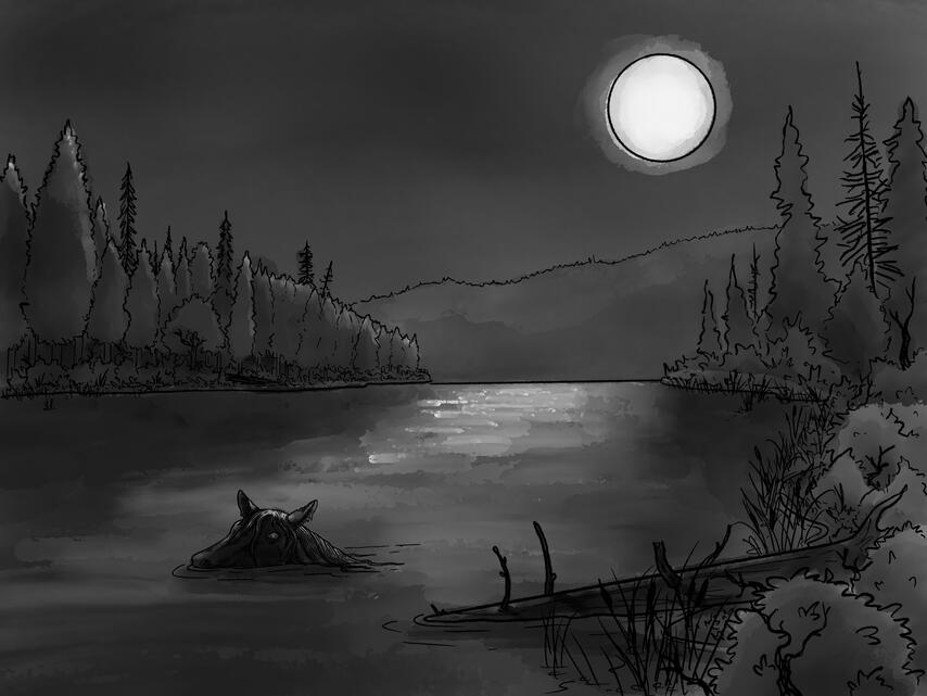 Black and white illustration of a moonlit lake with a horse head peering out of the water